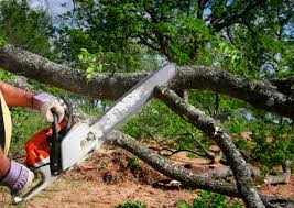 Lawn Irrigation Installation and Maintenance in Seabrook, TX